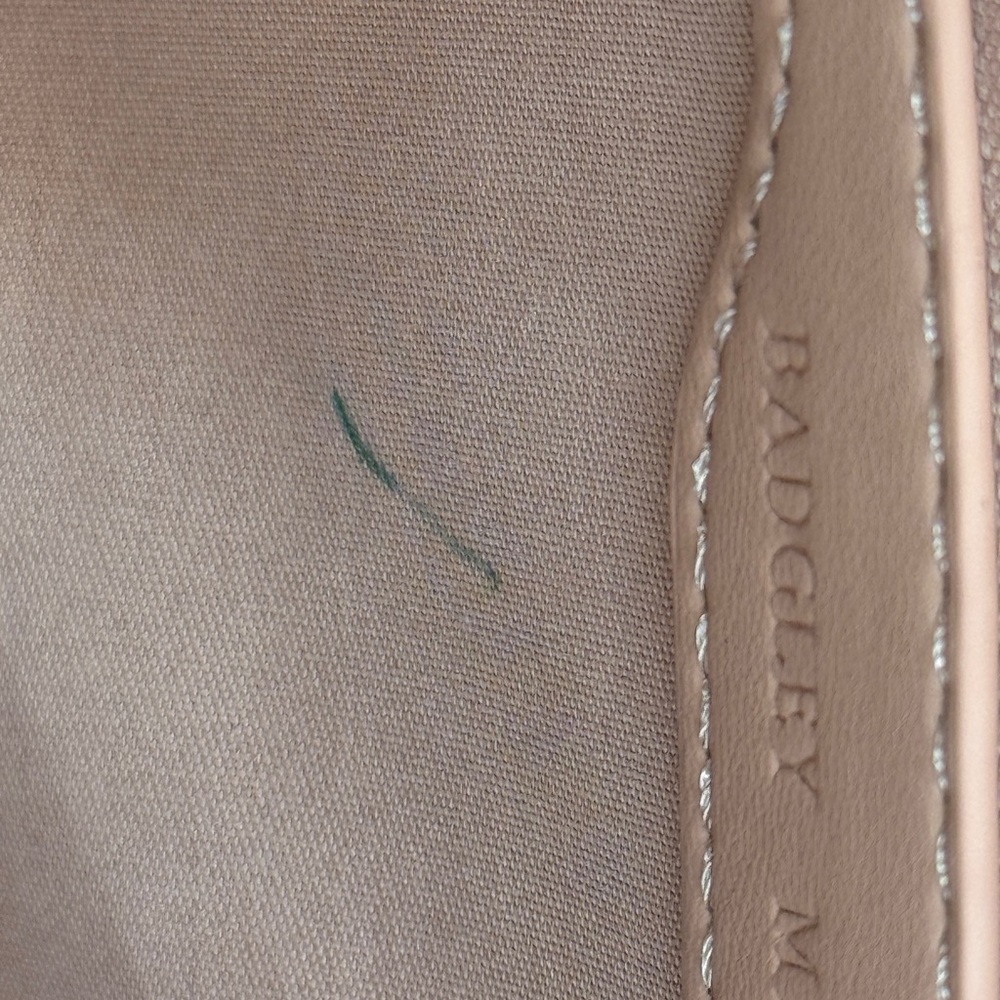 NWT Badgley Mischka Quilted Crossbody - Blush - Picture 10 of 10